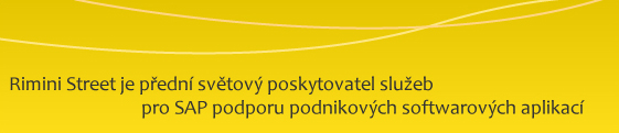 predni poskytovatel sap sluzeb